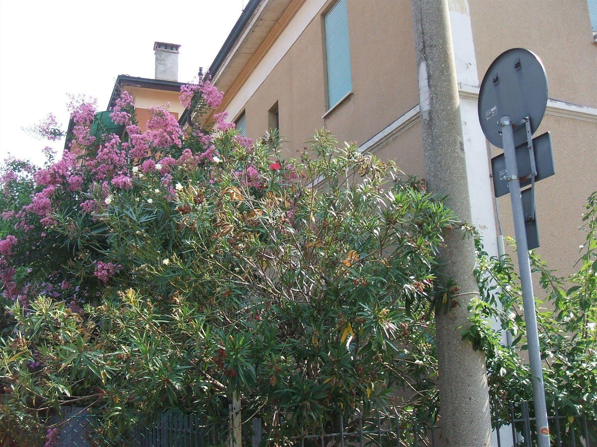 B&B Accorsi Bologna Esterno foto
